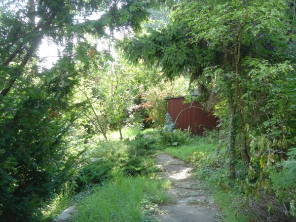 Blick auf den Grund (Sueden).jpg