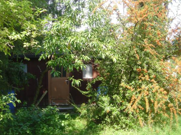 DSC00382.JPG
