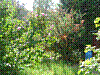 DSC00380.JPG DSC00380.JPG