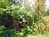 DSC00382.JPG DSC00382.JPG