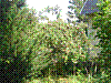 DSC00393.JPG DSC00393.JPG