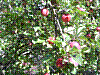 DSC00395.JPG DSC00395.JPG